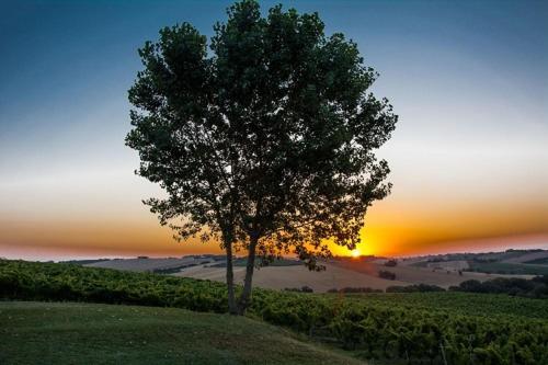 La Vita Nuova Appartements Morro dʼAlba Exterior foto